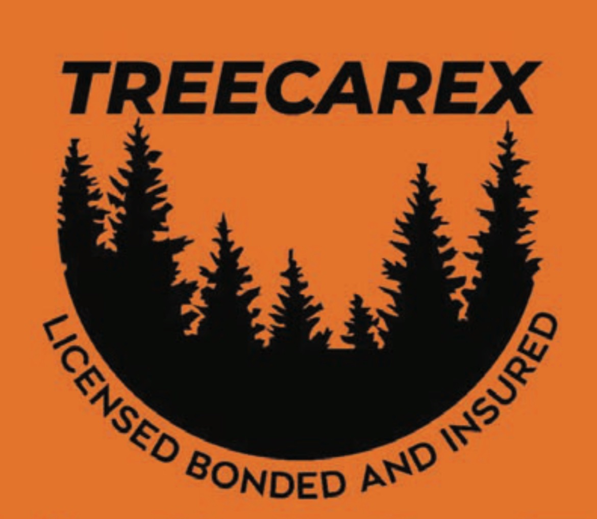 Tree Carex LLC