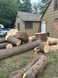 Log rounds neatly stacked at property edge