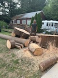 Yard cleared after tree removal