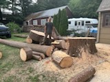 Stacked log rounds at completed job site